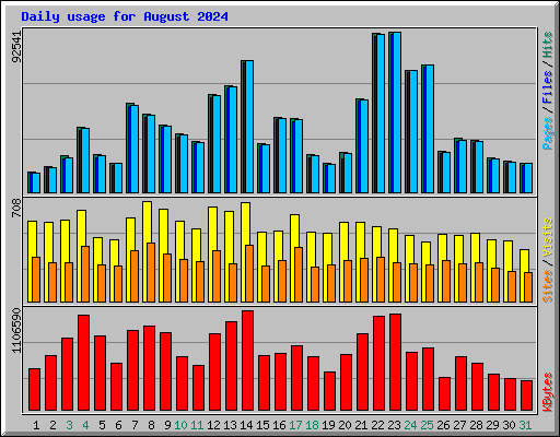 Daily usage for August 2024