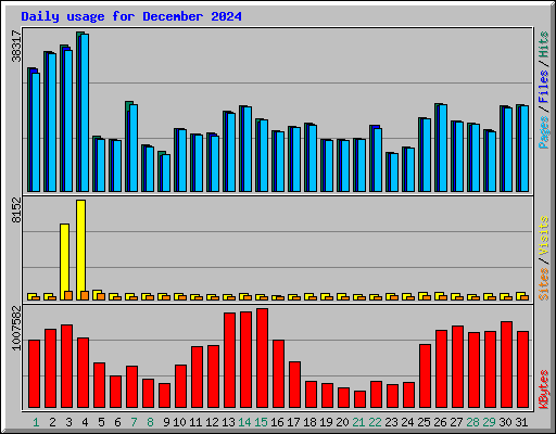 Daily usage for December 2024