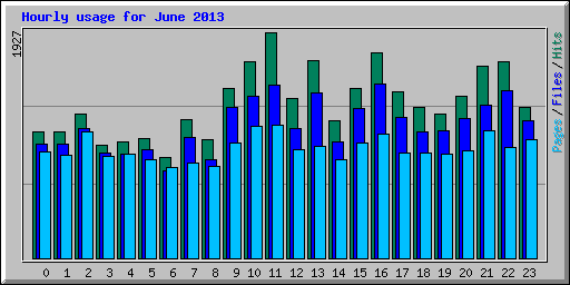 Hourly usage for June 2013