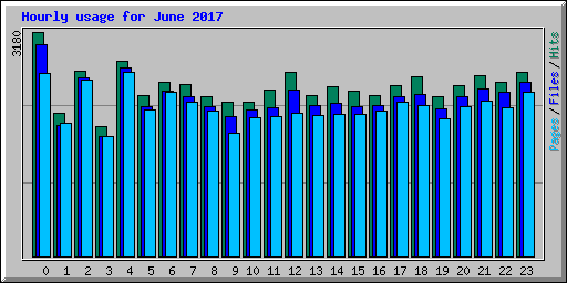 Hourly usage for June 2017