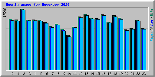 Hourly usage for November 2020