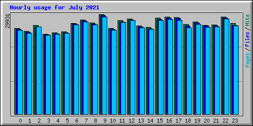 Hourly usage for July 2021