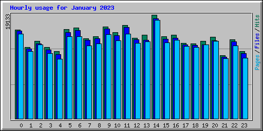 Hourly usage for January 2023