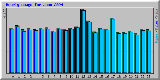 Hourly usage for June 2024