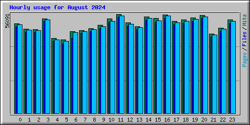 Hourly usage for August 2024