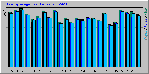 Hourly usage for December 2024