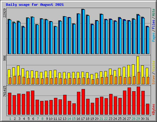 Daily usage for August 2021