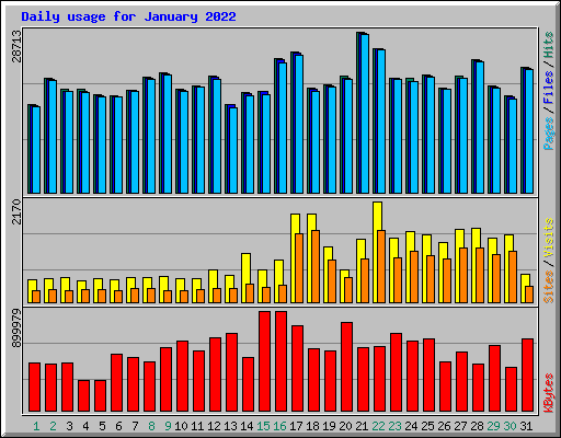 Daily usage for January 2022