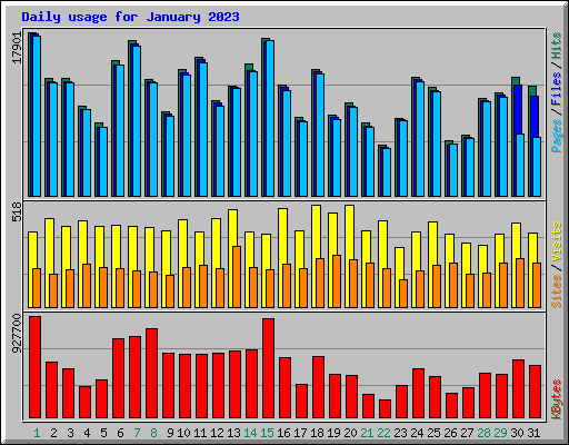 Daily usage for January 2023