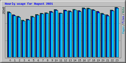 Hourly usage for August 2021