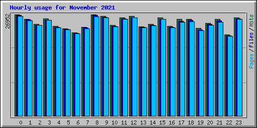 Hourly usage for November 2021