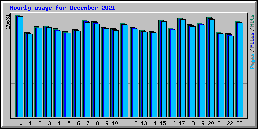 Hourly usage for December 2021