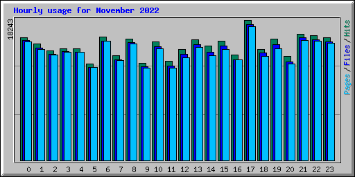 Hourly usage for November 2022